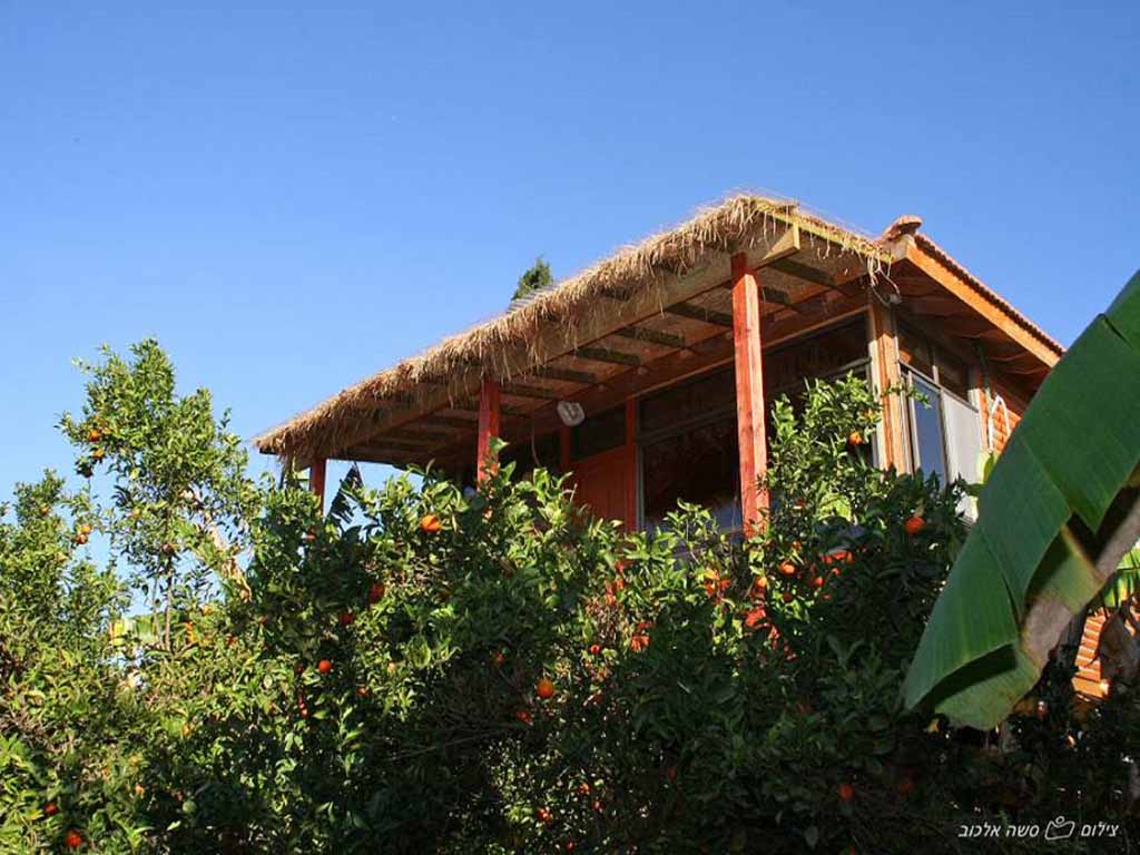 סוויטת ביקתפוז